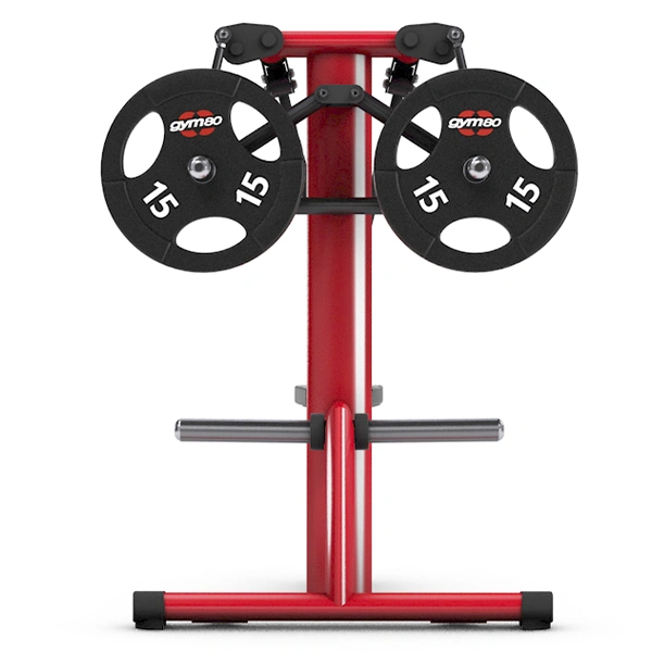 Тренажер Gym80 4325 Дельтовидная машина (разведение рук вверх) 50мм