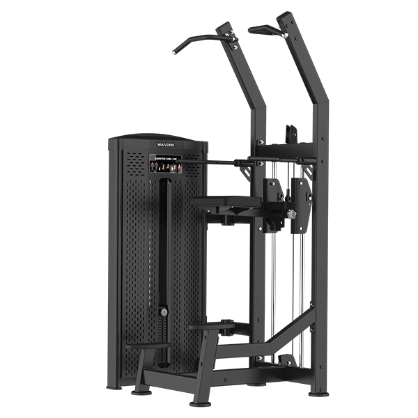 Тренажер MAXGYM AE008 Подтягивание/отжимание