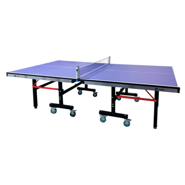 Профессиональный Теннисный стол Scholle T850