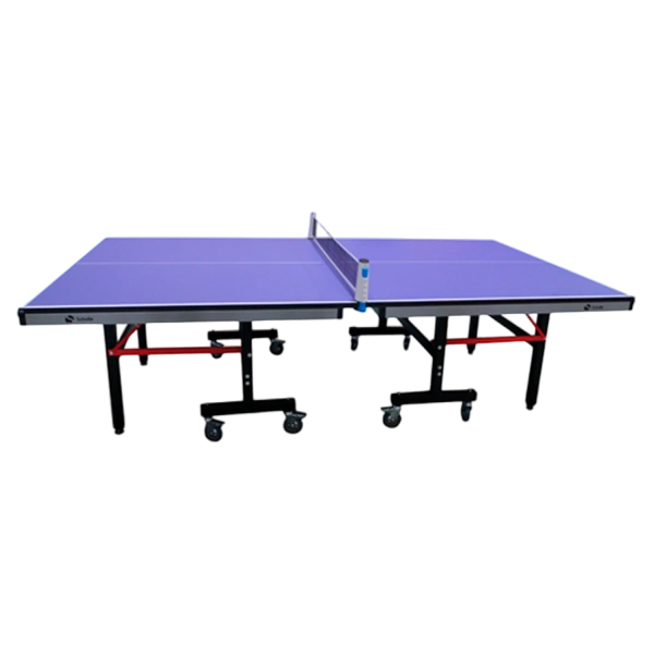 Профессиональный Теннисный стол Scholle T850