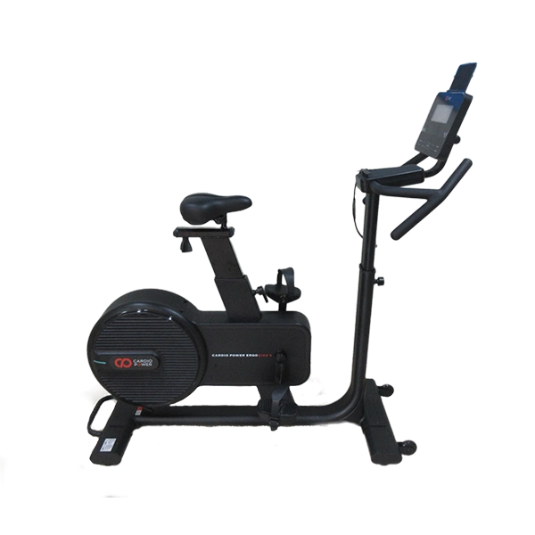 Вертикальный велотренажер CardioPower Ergobike 5