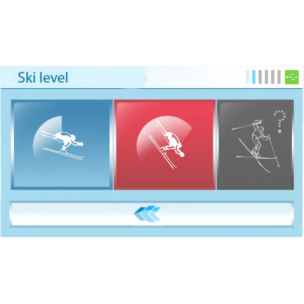 Горнолыжный тренажер PROSKI Simulator Professional