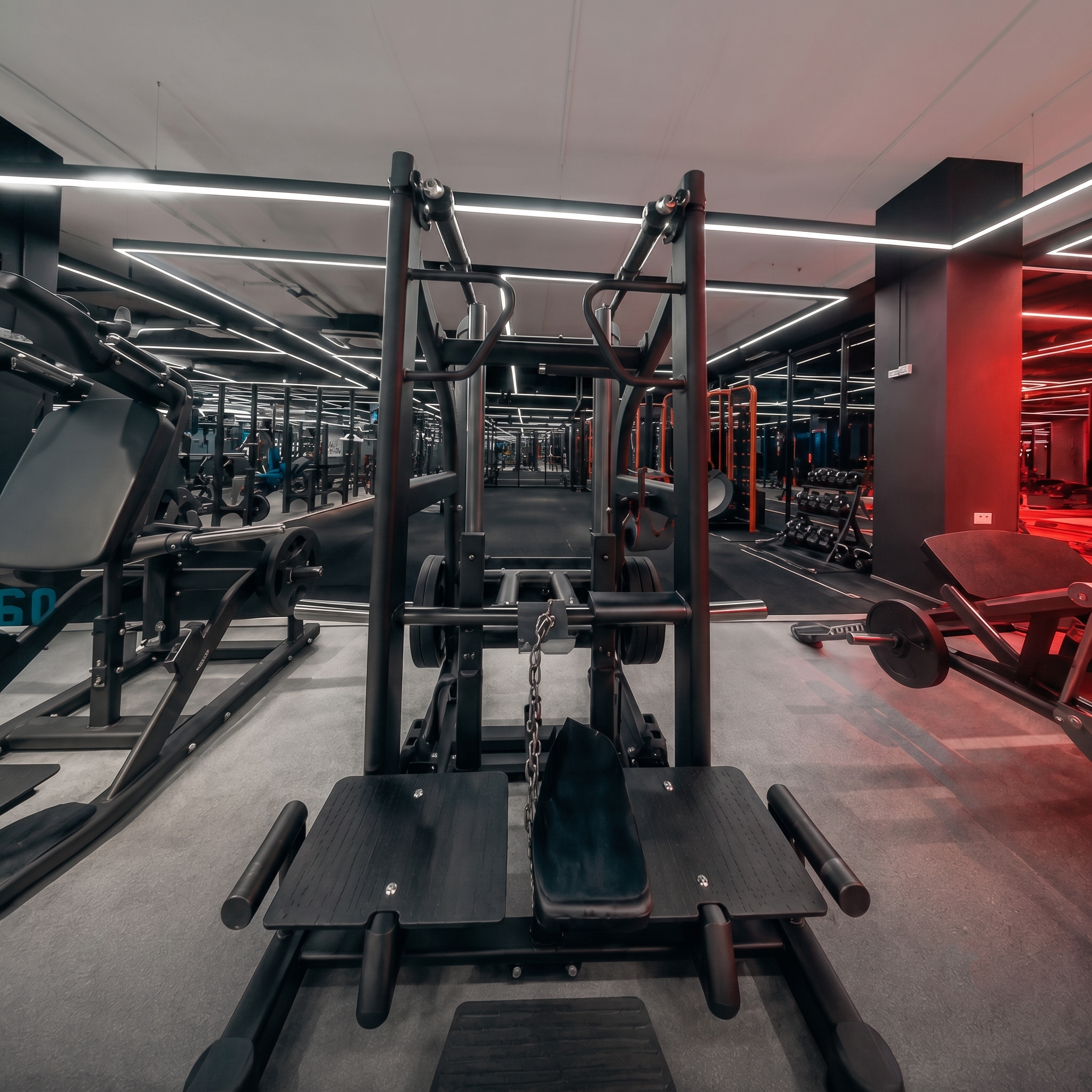 WellFitness лидер рынка