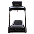Беговая дорожка CardioPower TR100