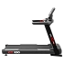 Беговая дорожка CardioPower PRO CT100
