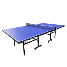 Теннисный стол Scholle TT450 Indoor